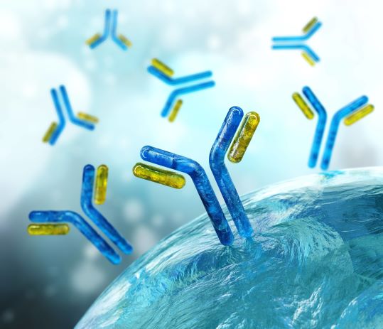 Immunoassay-AdobeStock_282698587-72-Small